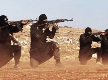 داعش، صنيعة الغرب