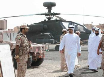 تصدير الأسلحة الأميركية إلى الإمارات العربية المتحدة والحرب في اليمن