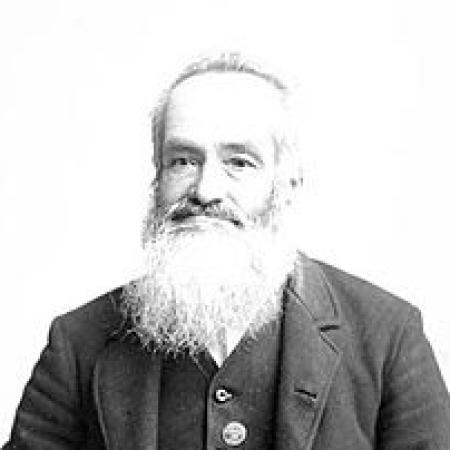 موير - وليم موير