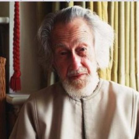 مارتن لينجز