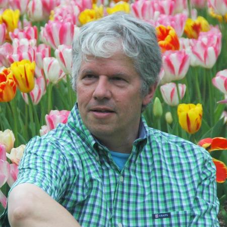 بيم فالكنبرج