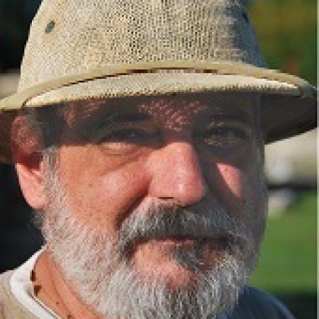 أليكساندرو دياكونيسكو