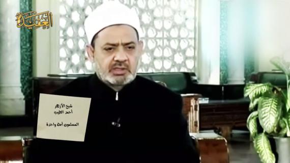 قصاصة - شيخ الازهر أحمد الطيب : المسلمون أمة واحدة